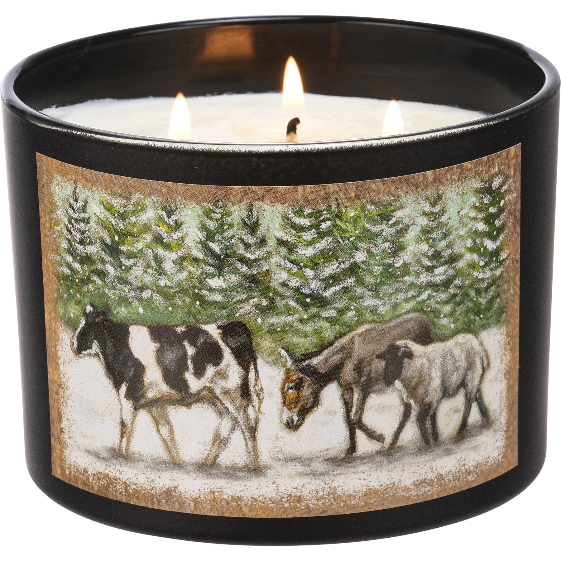Candles Jar Candle - Winter Parade - Spruce PBK-110873