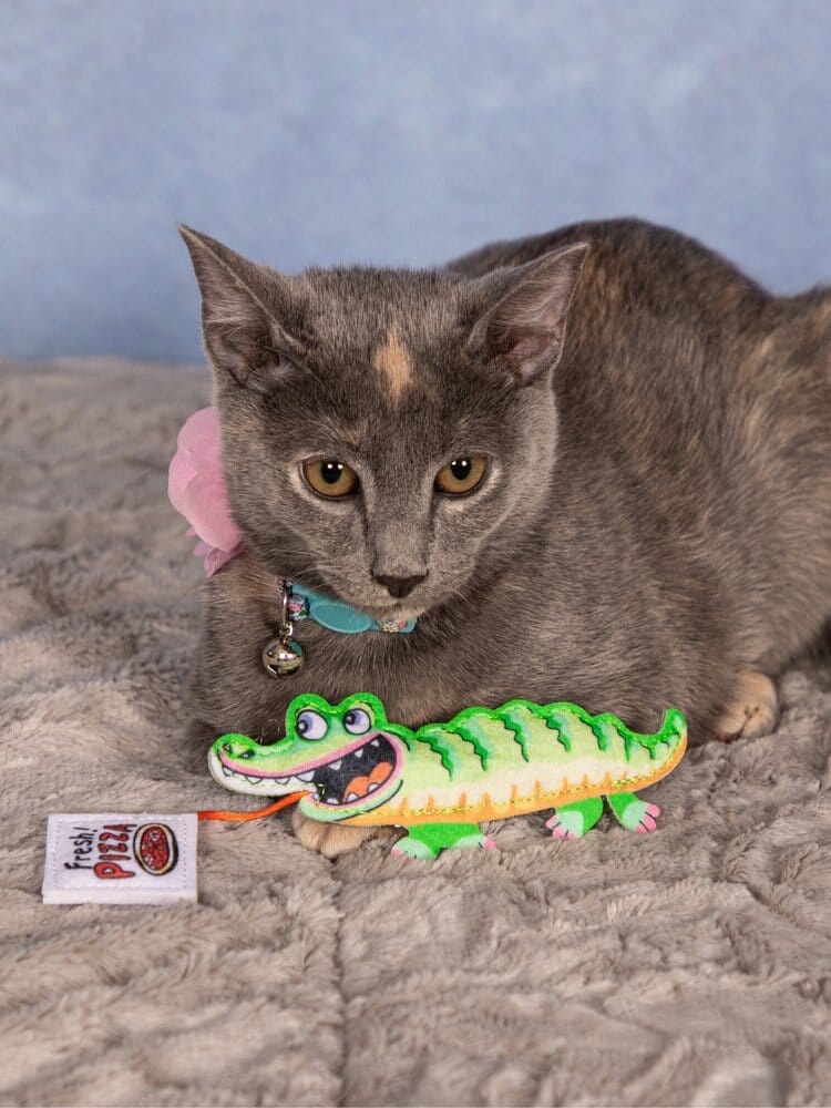 Cat Toys Cat Toy - Fast Food - Gator and Pizza FZZ- FFC-GAT48