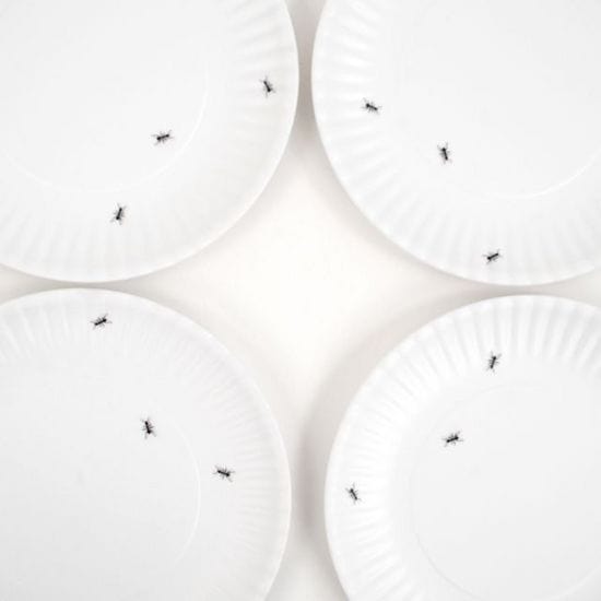 Decorative Plates Ants Plates - Melamine 9-inch "Paper" Plate Set - 4 Pc. Set - Washable 180-ME0036