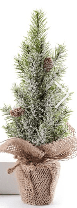 Seasonal & Holiday Decorations short pine Potted Trees, 3 Assorted Designs. GC-665625-SP