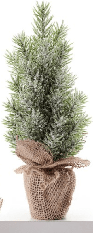 Seasonal & Holiday Decorations short pine w/pinecones Potted Trees, 3 Assorted Designs. GC-665625-SPC